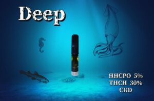 Deep 【ディープ】 THCH×HHCPO 0.5ml
