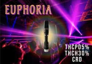 Euphoria 【ユーフォリア】THCPO×THCH 0.5ml